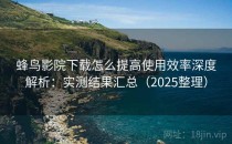 蜂鸟影院下载怎么提高使用效率深度解析：实测结果汇总（2025整理）