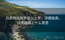 白虎网站新手怎么上手：详细指南，白虎网络上什么意思