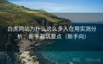 白虎网站为什么这么多人在用实测分析：新手避坑要点（新手向）