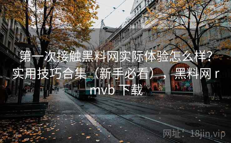 第一次接触黑料网实际体验怎么样？实用技巧合集（新手必看），黑料网 rmvb 下载  第1张