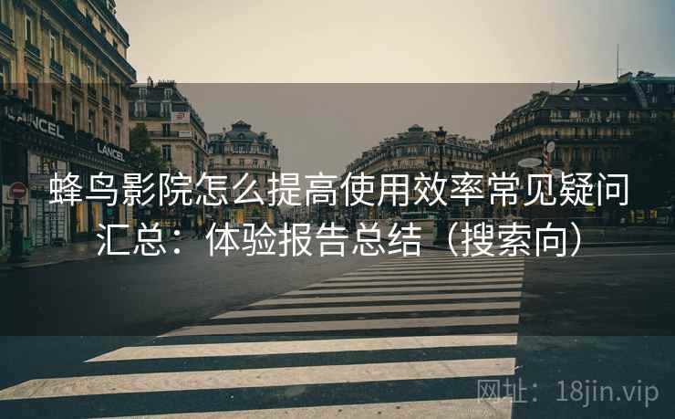 蜂鸟影院怎么提高使用效率常见疑问汇总：体验报告总结（搜索向）  第2张