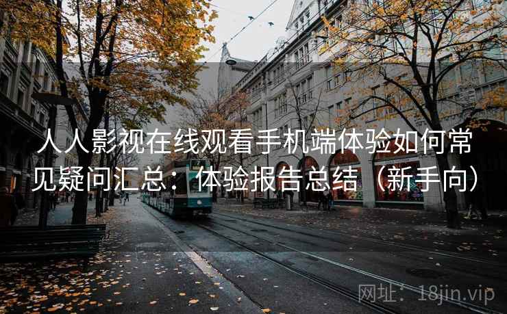 人人影视在线观看手机端体验如何常见疑问汇总：体验报告总结（新手向）  第2张