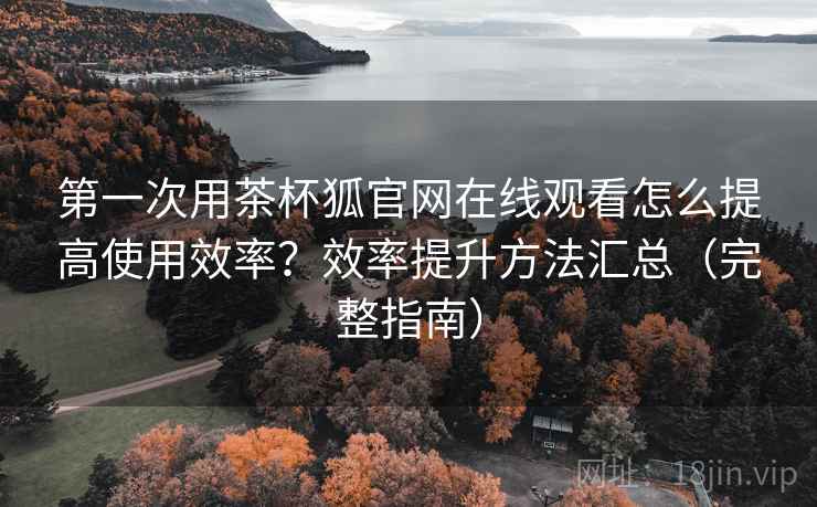 第一次用茶杯狐官网在线观看怎么提高使用效率？效率提升方法汇总（完整指南）  第1张
