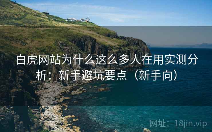 白虎网站为什么这么多人在用实测分析：新手避坑要点（新手向）  第1张