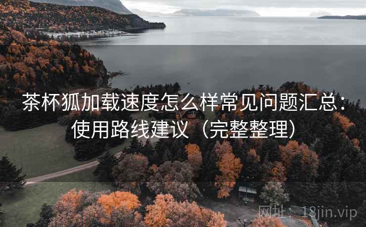 茶杯狐加载速度怎么样常见问题汇总：使用路线建议（完整整理）  第2张