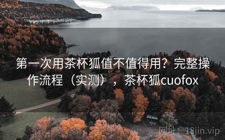 第一次用茶杯狐值不值得用？完整操作流程（实测），茶杯狐cuofox  第1张