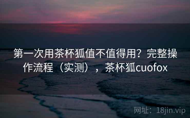 第一次用茶杯狐值不值得用？完整操作流程（实测），茶杯狐cuofox  第2张