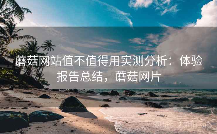 蘑菇网站值不值得用实测分析：体验报告总结，蘑菇网片  第1张