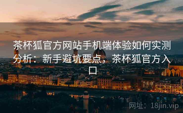 茶杯狐官方网站手机端体验如何实测分析：新手避坑要点，茶杯狐官方入口  第2张